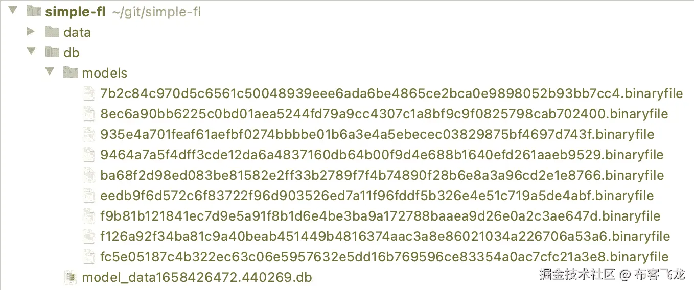 图 6.4 – 存储在 db 文件夹中的 SQLite 数据库和 ML 模型文件的二进制文件格式