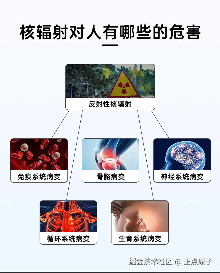 详情页1_17.jpg
