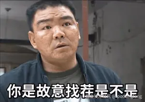 你是故意找茬是不是.gif