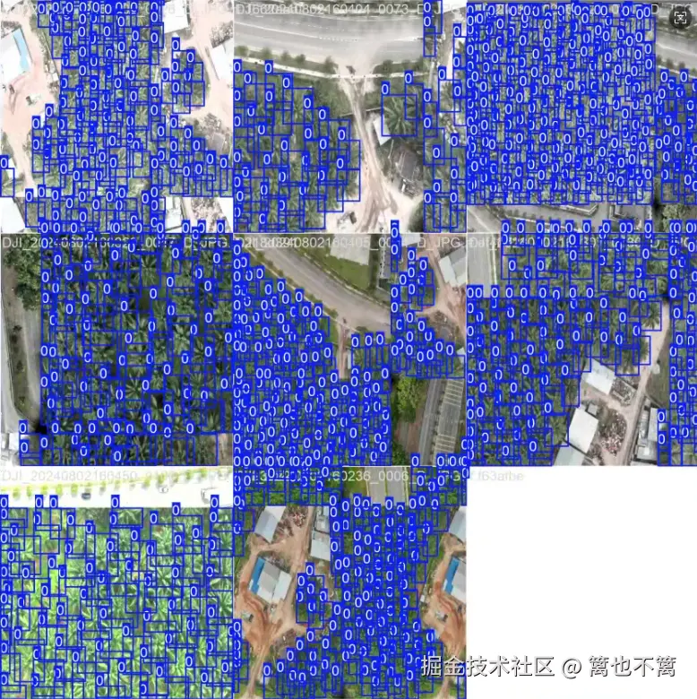 image-20250801214037923