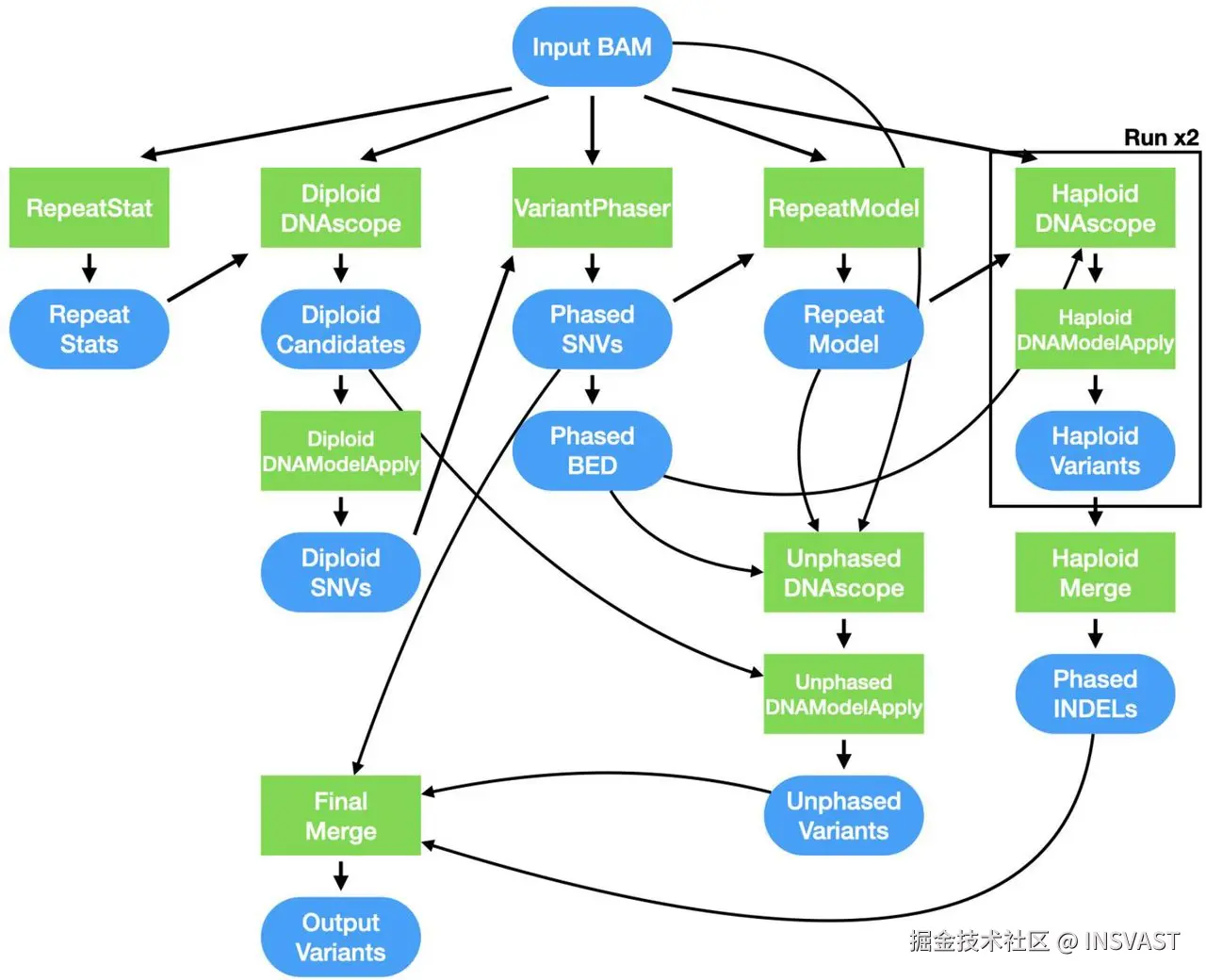 图2  DNAscope LongRead流程概述 该流程从比对的PacBio HiFi测序读段中检测胚系变异。流程可分为三个阶段：第一轮变异检测、变异分型、以及第二轮更精确的基因组分型区域变异检测(分别处理每个单倍体亲本基因组)。在第一轮和第二轮变异检测前，统计模型会根据样本的重复序列内容进行校准，以提高变异检测准确性和流程稳健性。核心变异检测流程在分型或未分型的基因组区域运行DNAscope，并使用DNAModelApply执行基于模型的变异基因分型。使用Python脚本进行VCF文件处理。