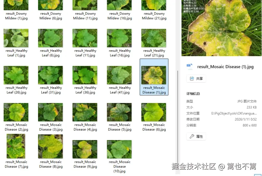 image-20260111005513598