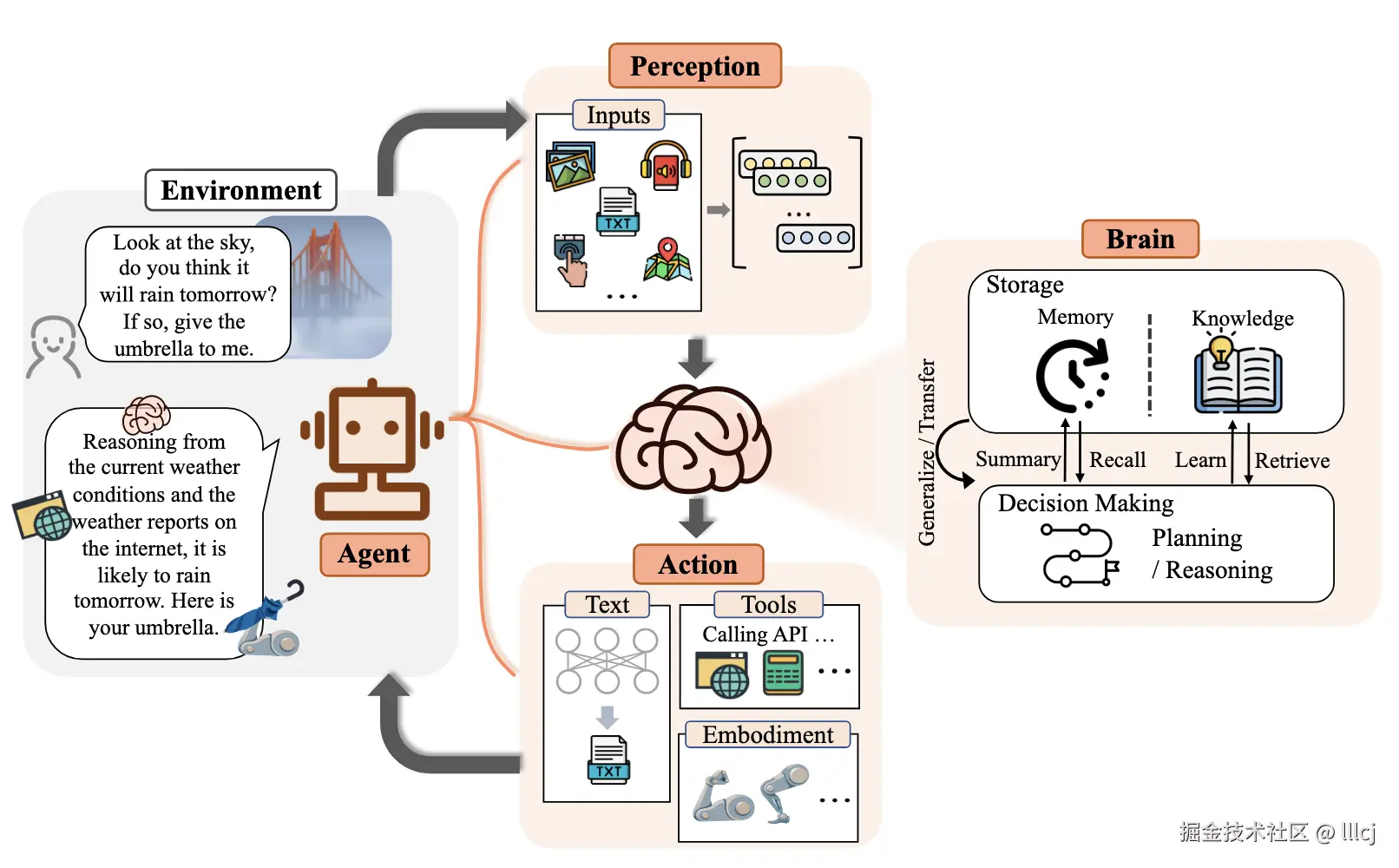 由三个组件组成：大脑、感知和行动。