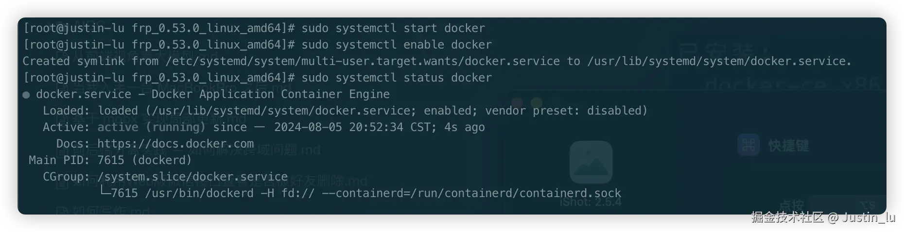 image-20240805205306106