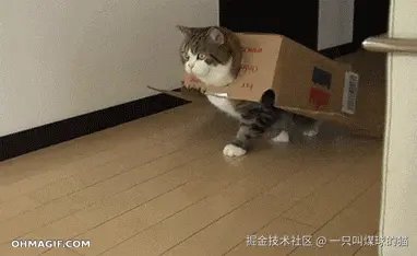 catcatcat.gif