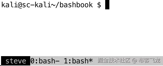 图 10.3 – 在 tmux 会话中创建一个新窗口