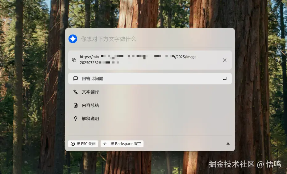 image-20250728220804190