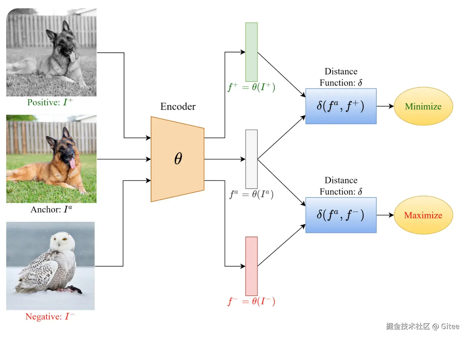一次典型的对比学习过程