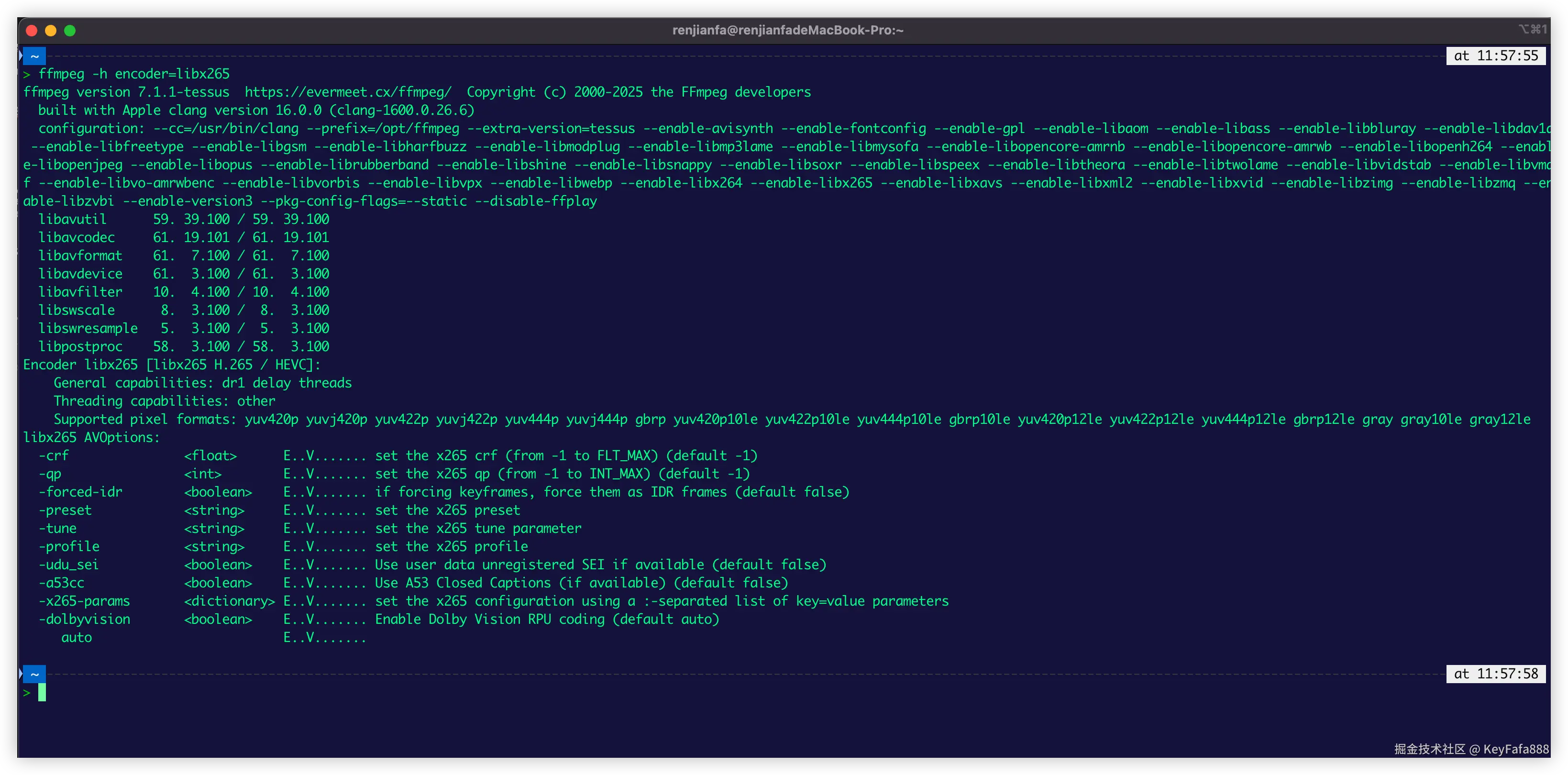 查询某个编码器的详细参数libx265