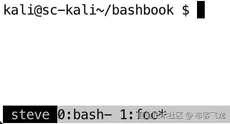图 10.4 – 当前窗口已重命名