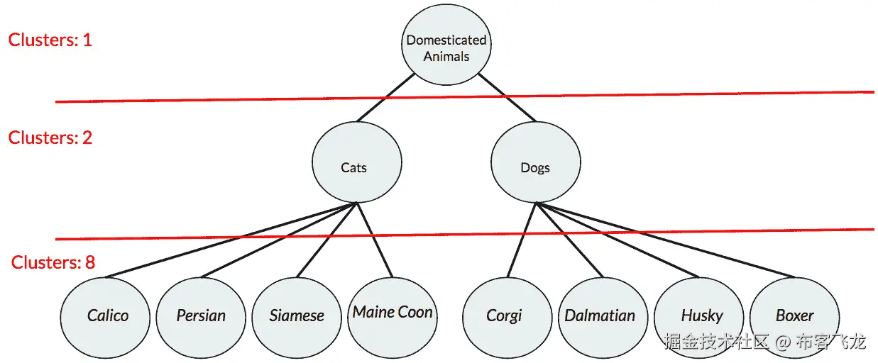 图 2.9：一个动物分类的树状图