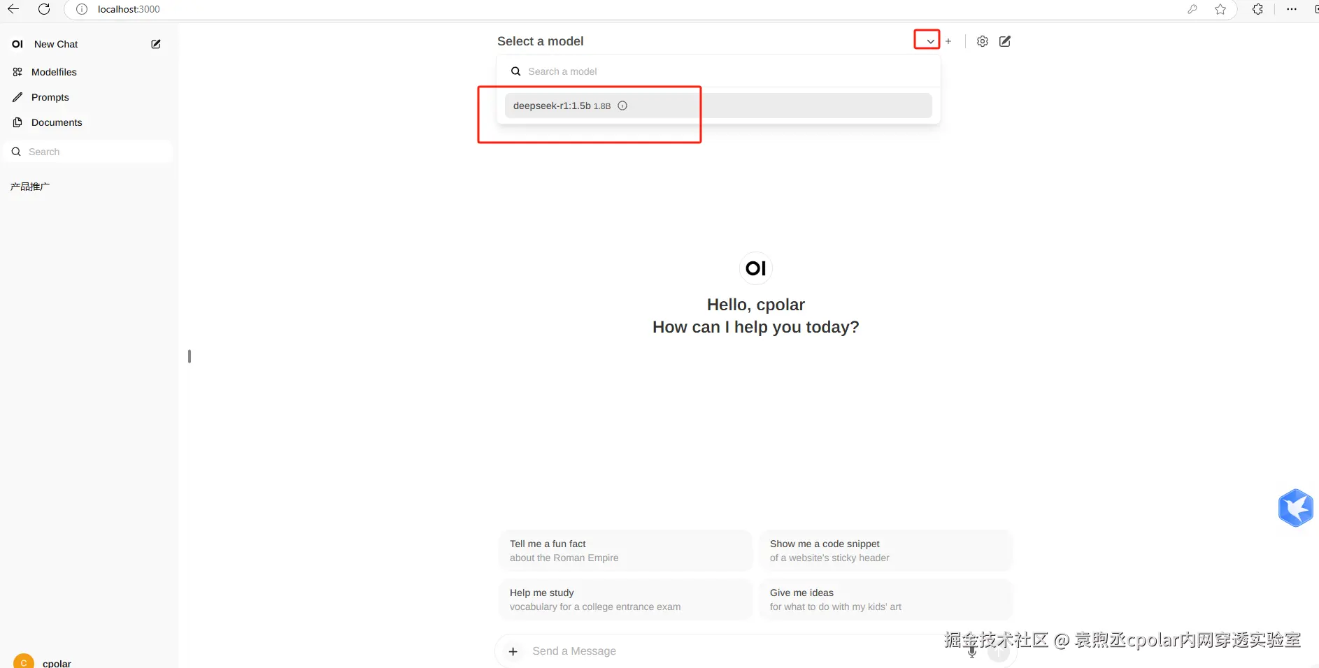 image-20250205162855286