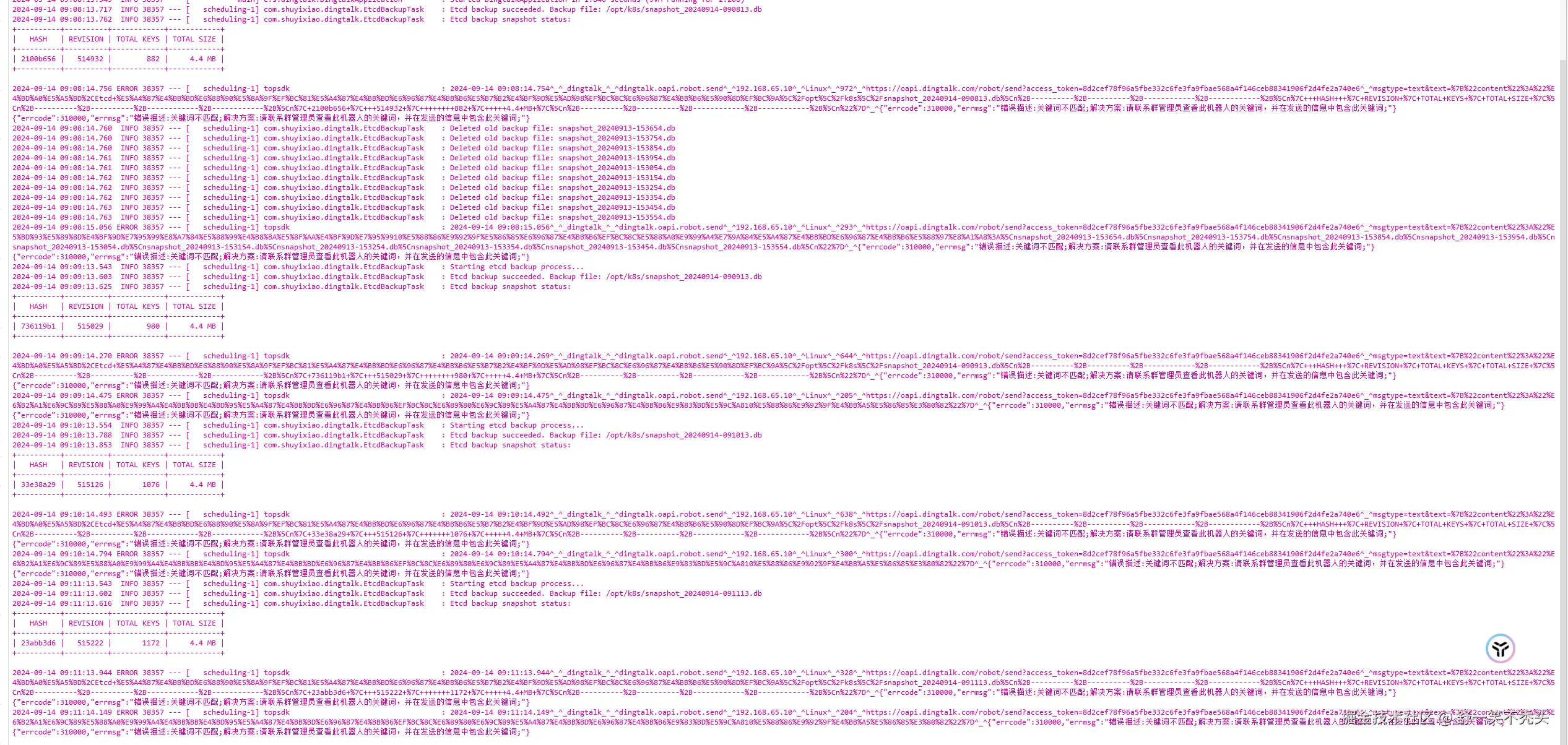 image-20240914091343386