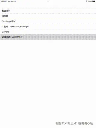 demo.gif