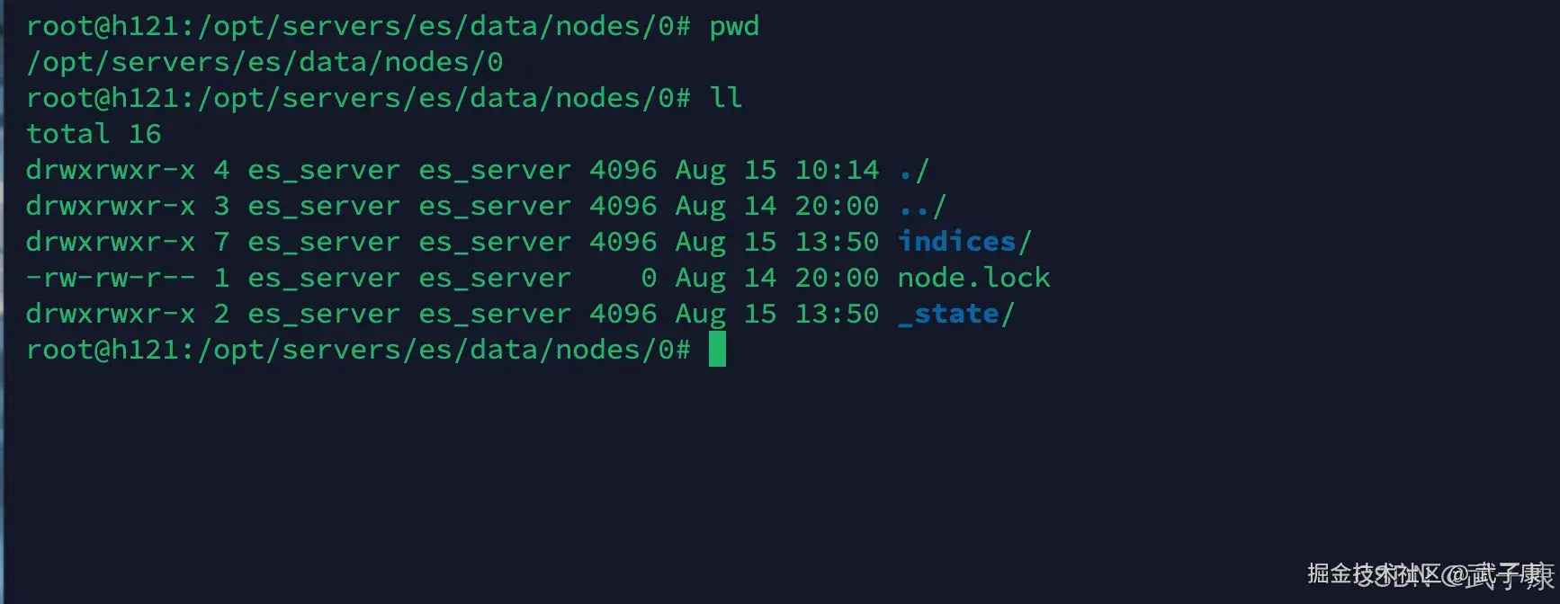 Elasticsearch 存储目录