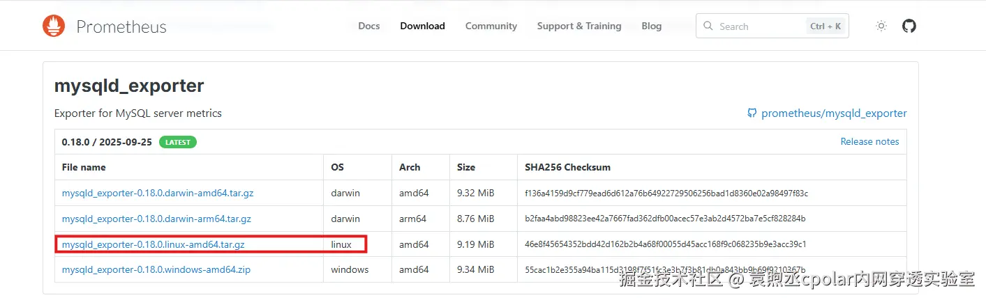 image-20251124150101916