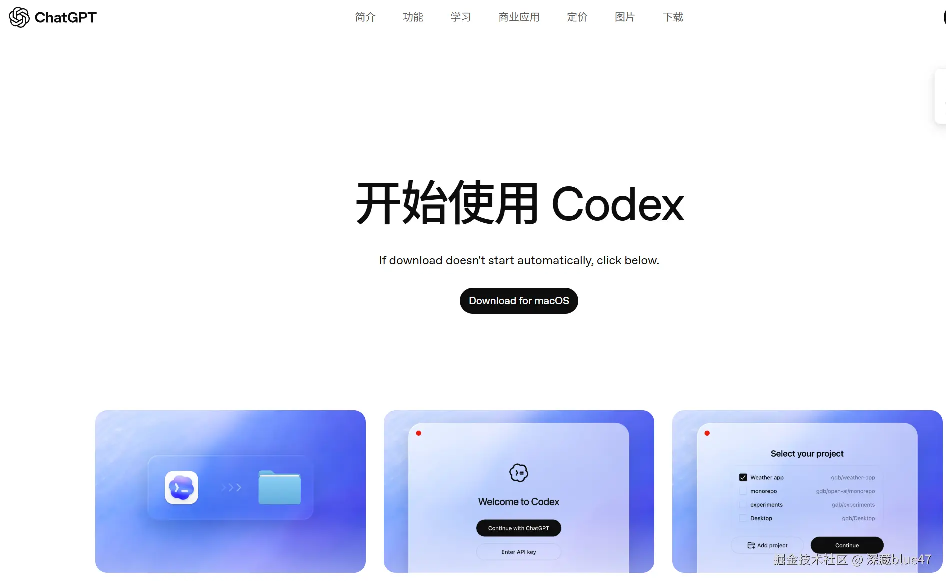 codex app