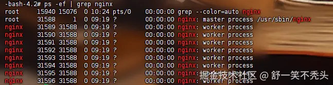 image-20250314102423030