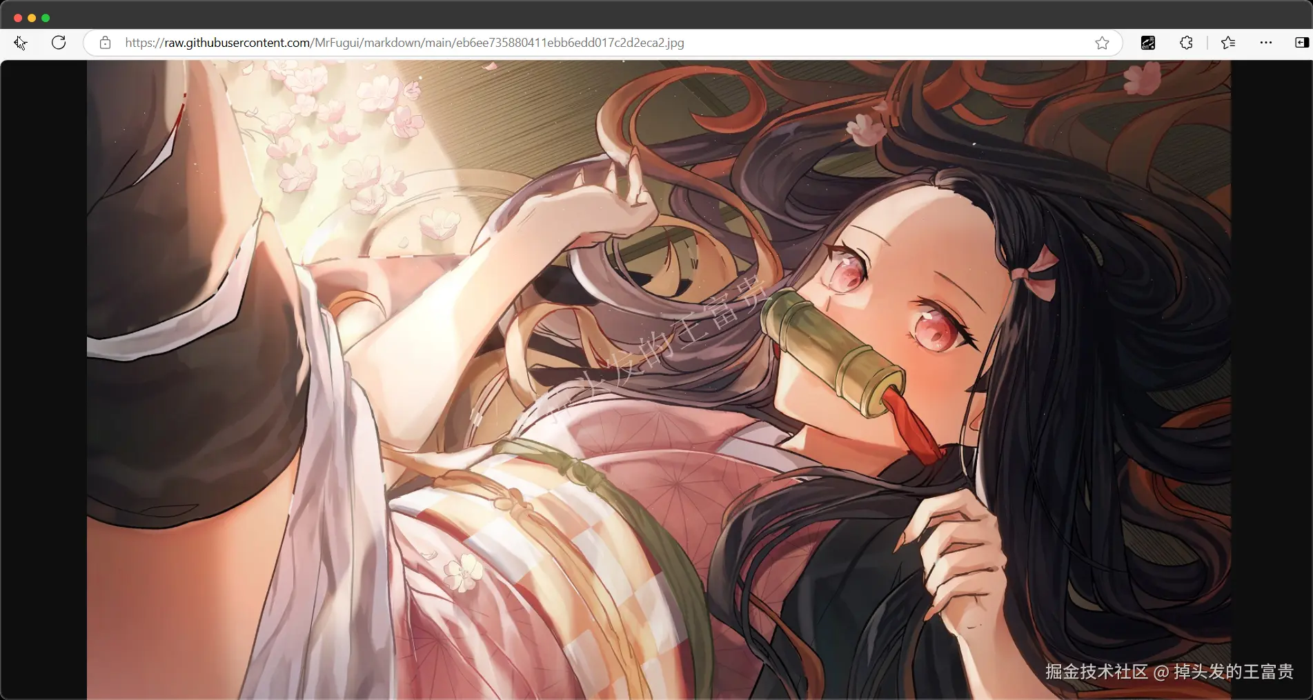 image-20241015192443388