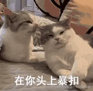 2430.gif