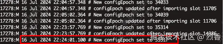 1725817480799.jpg
