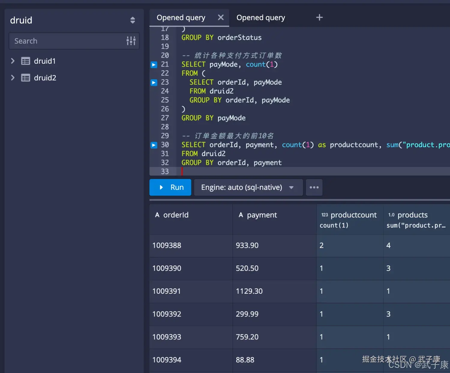 Druid 订单金额最大的前10名