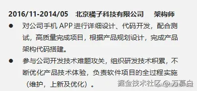 项目经历示例2