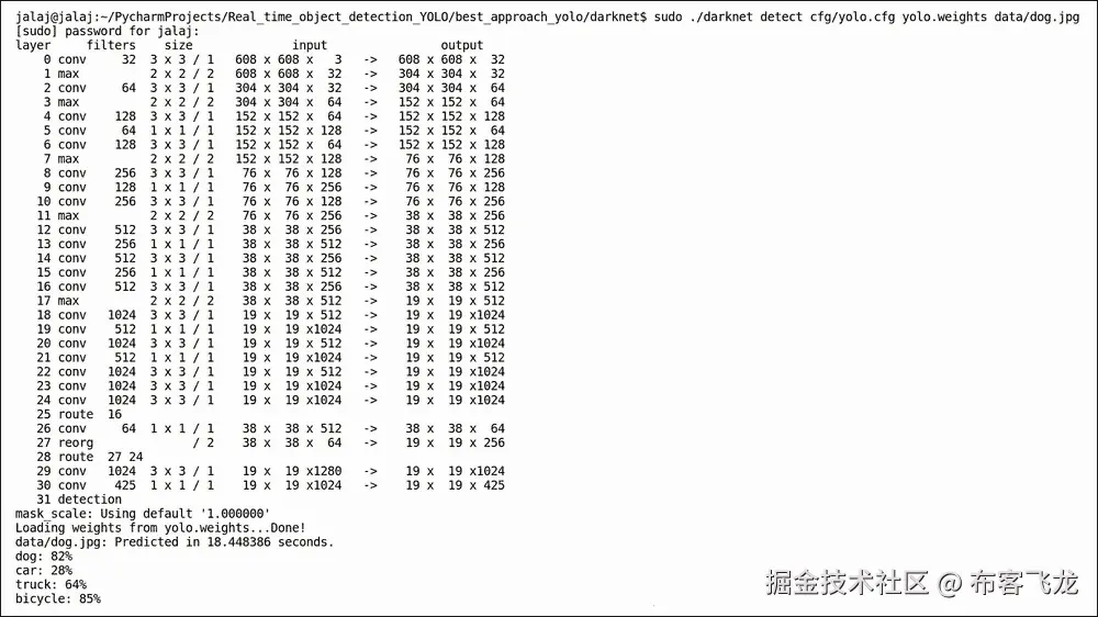 对图像运行目标检测