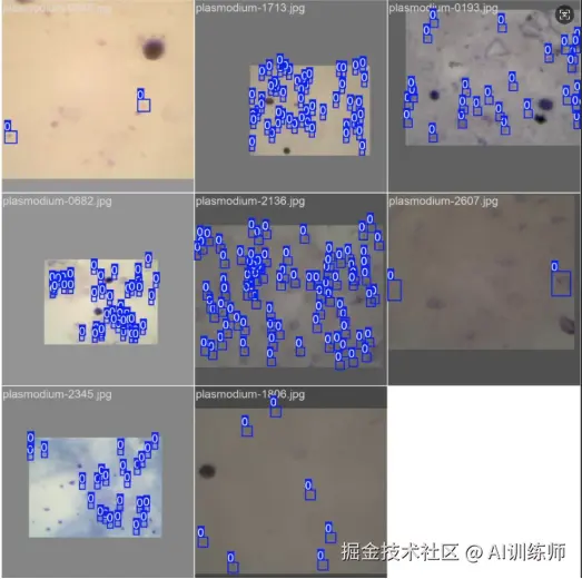 image-20250819113805006