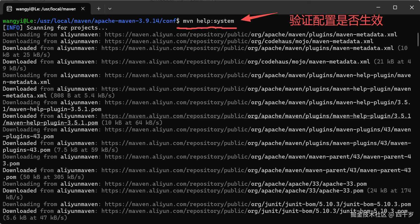 验证 maven 配置是否生效