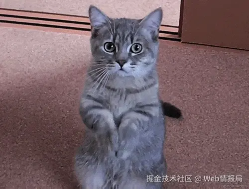cat-thank.gif