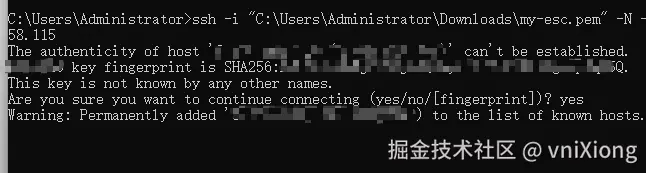 image-20260206205220498