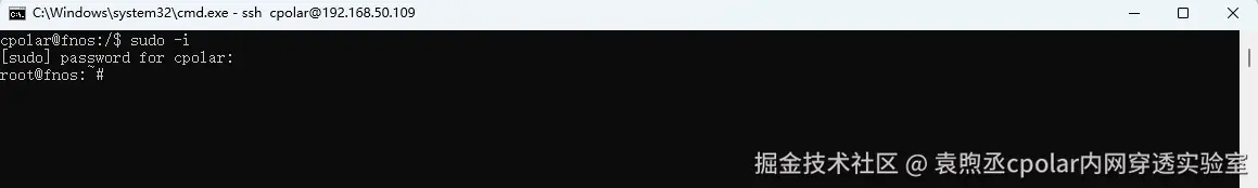 image-20251223134948483