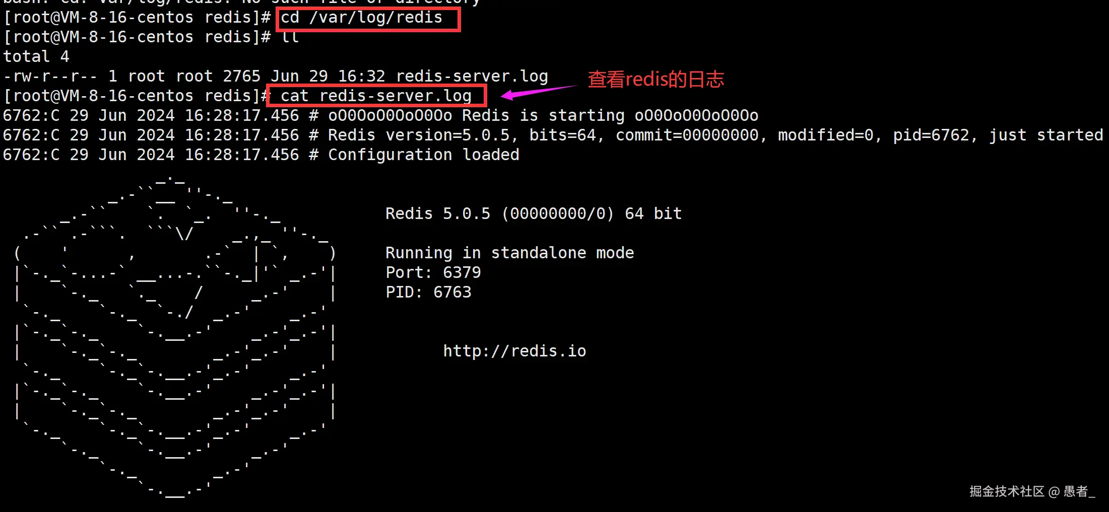 image-20240629163812783