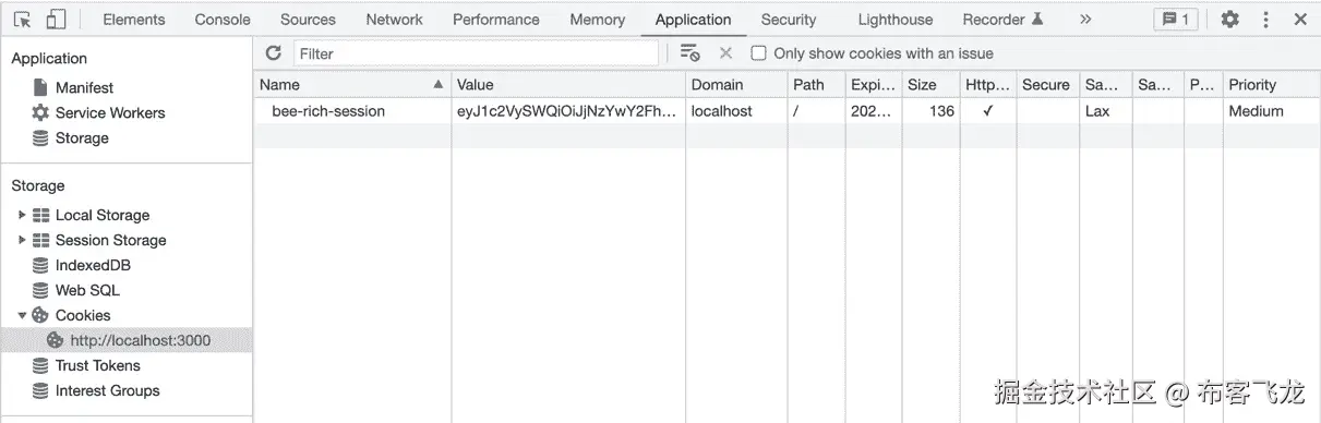图 8.2 – 开发者工具的应用程序标签页