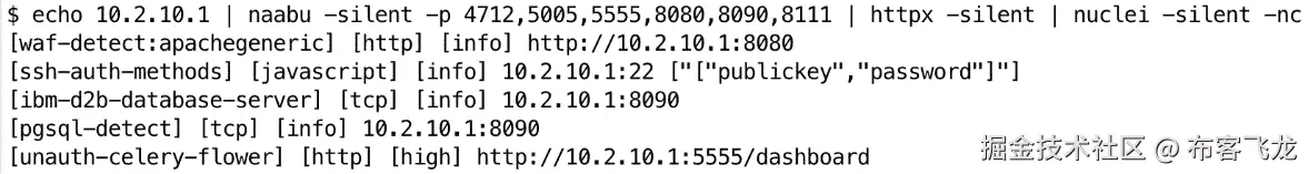 图 9.9 – 执行的 nuclei 扫描示例，通过管道命令