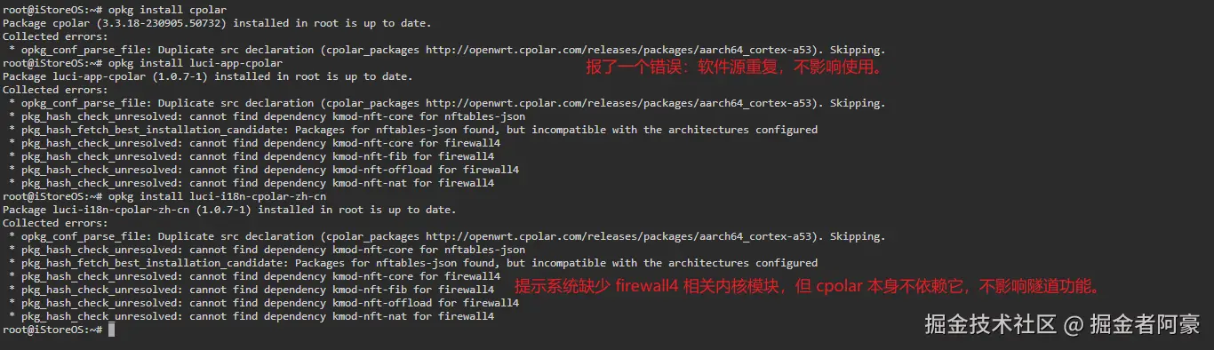 image-20250822194316863