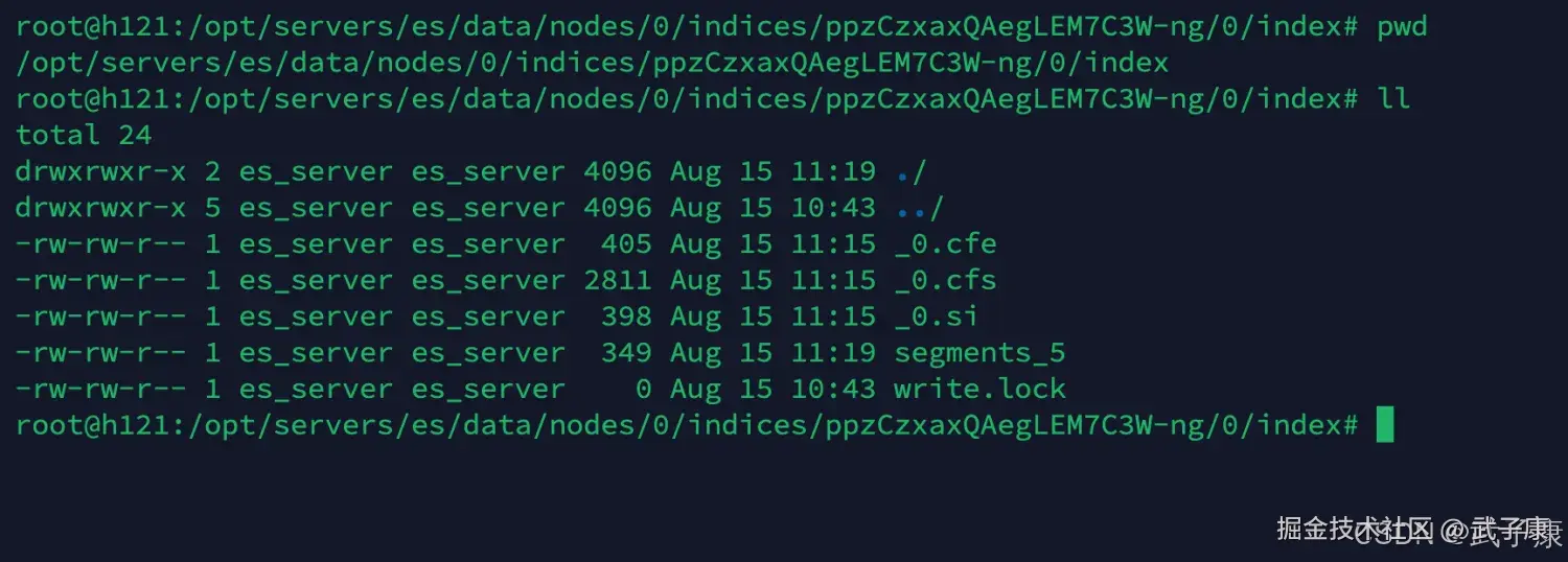Elasticsearch index 数据目录