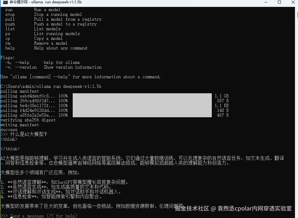 image-20250205155724879