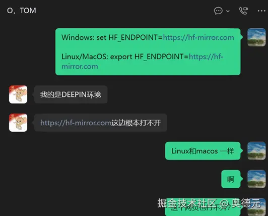 20260812 download-from-hf-mirror-failed-on-deepin.png