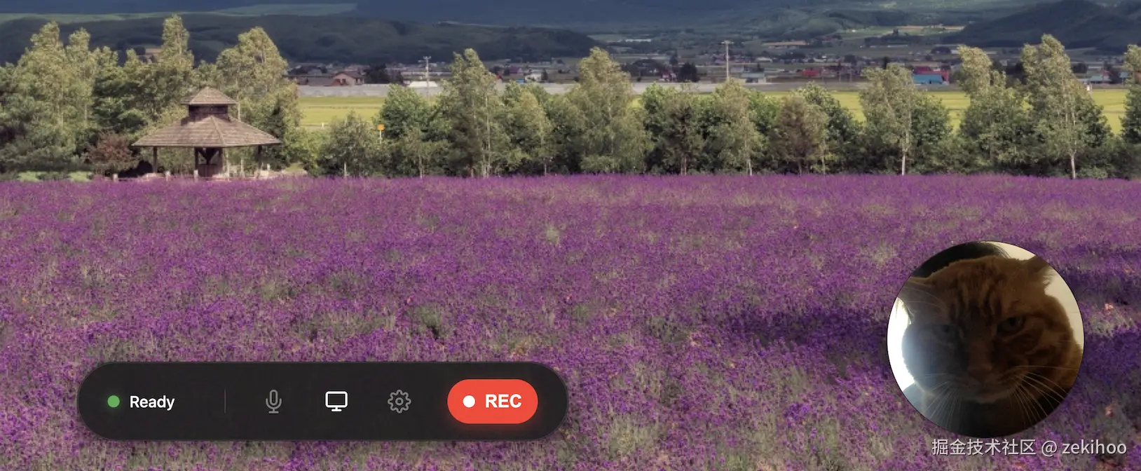 Screen Shot 2026-01-12 at 11.00.14.png