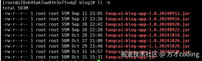 image-20241104225414936