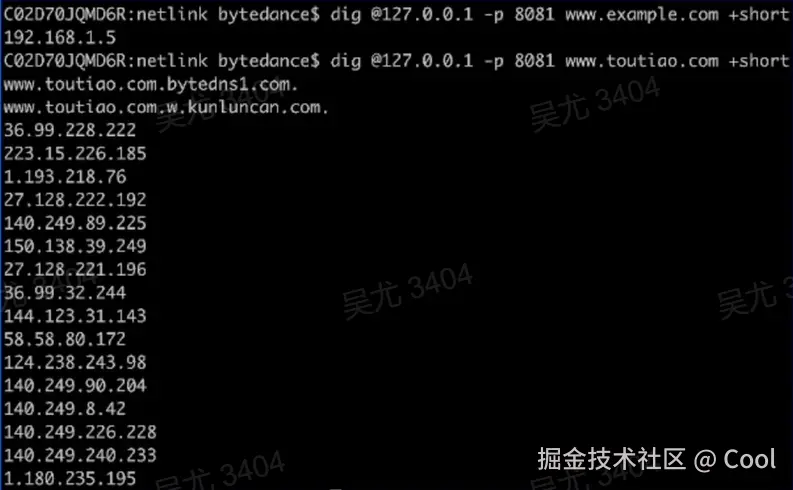 image-20220522093225853.png