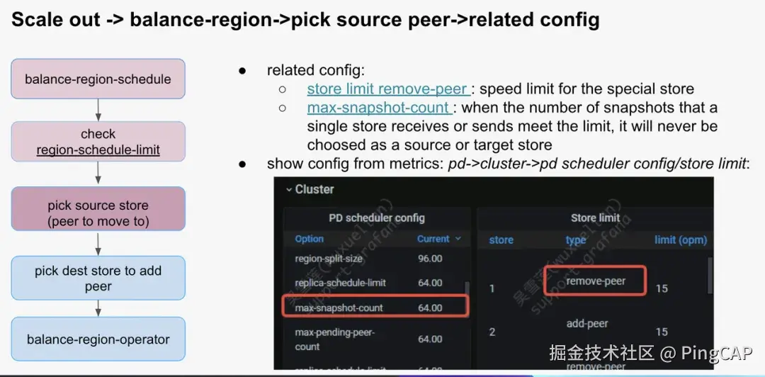 检查要被 move peer 的 store