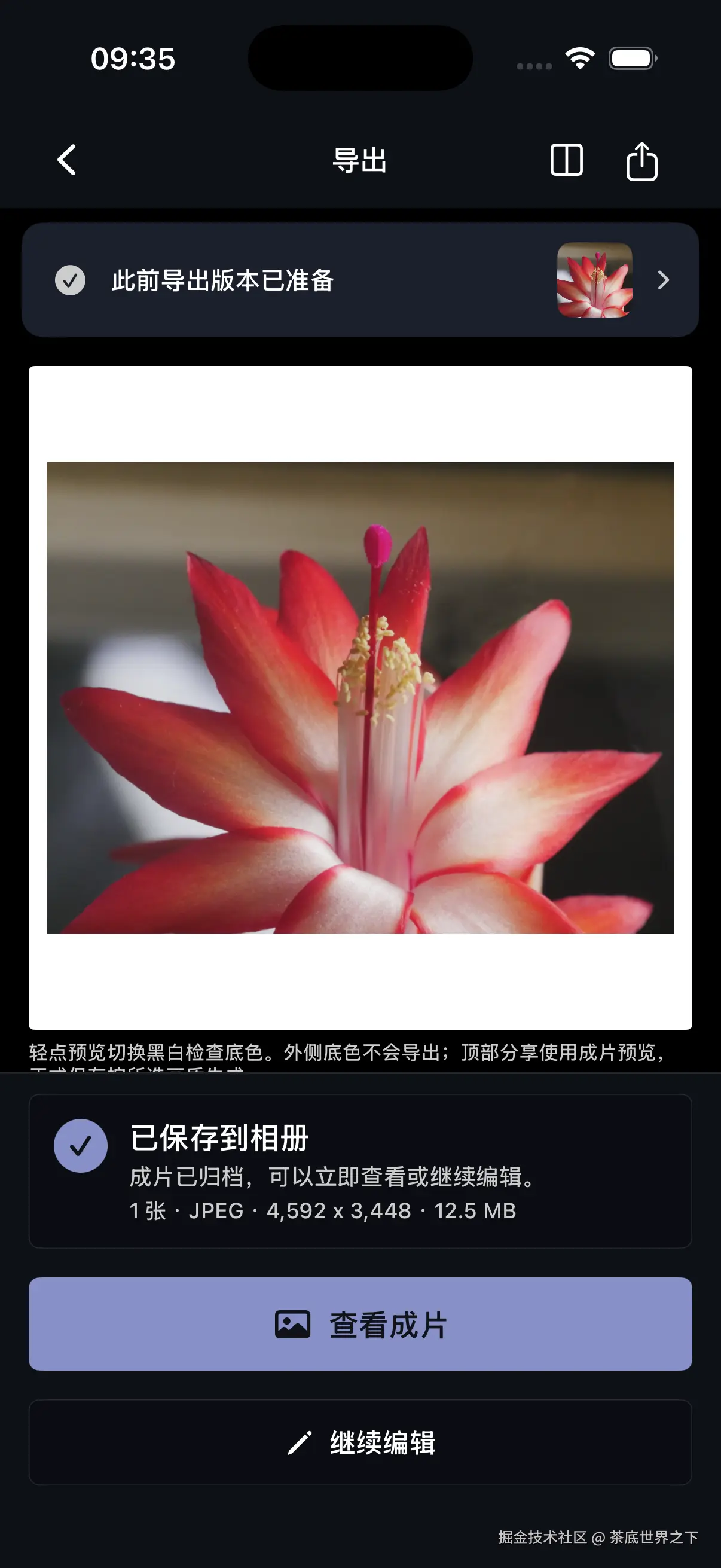 Awaking 正式保存完成：JPEG 4592×3448
