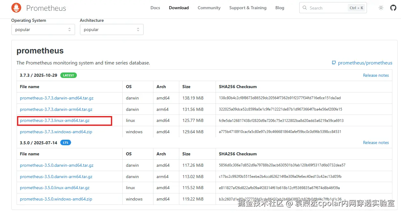 image-20251111150255214