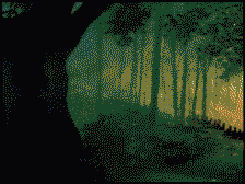 Colder_于2025-07-10 16:05发布的图片