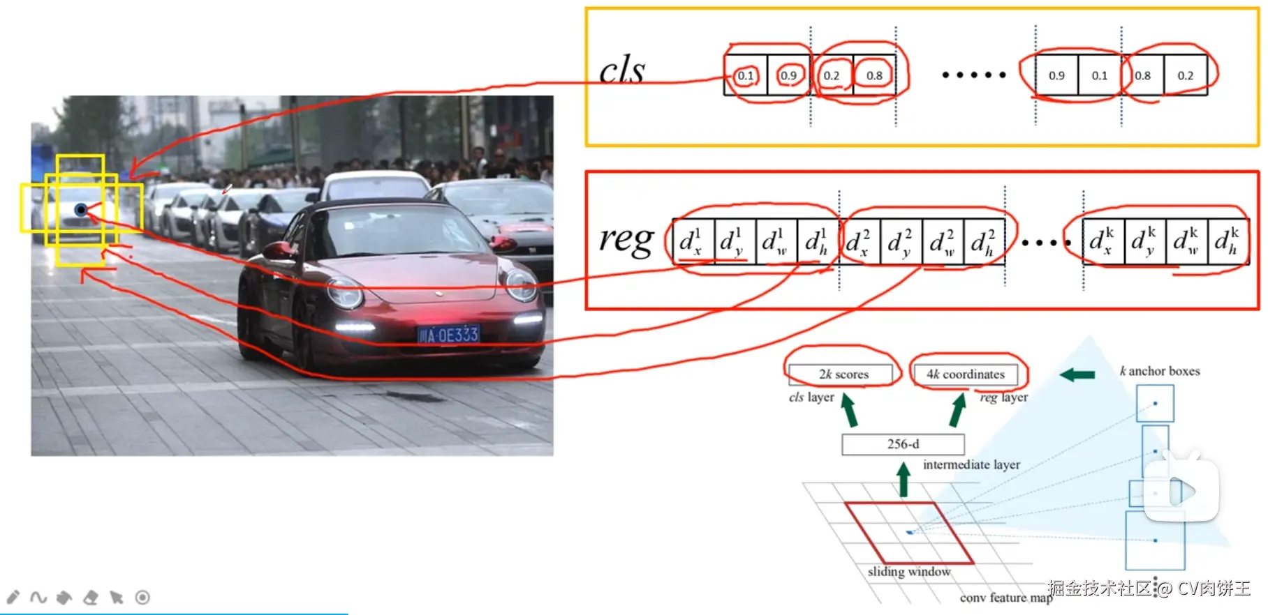RPN中的分类与回归