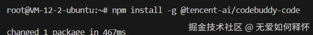 使用 npm 安装 Codebuddy CLI